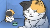 Moments that make cats feel abandoned｜Pet knowledge animation