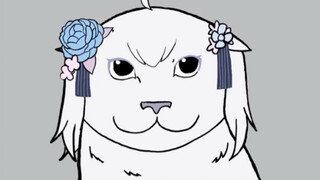 这是一只比较稀有的小猫咪