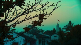 Panchayat S01E02 [ Bhootha Ped ]