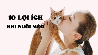 10 Lợi ích sức khỏe của việc nuôi Mèo
