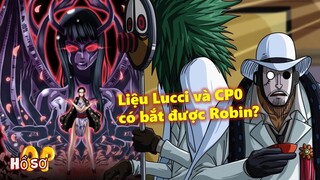 Liệu Lucci và CP0 có bắt được Robin?