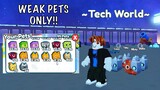 Pet Simulator X NOOB reaches TechWorld using NOOB PETS before UPDATE