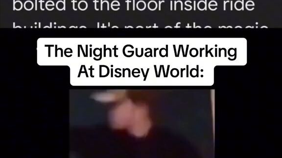 pov: your a night guard at Disneyland *vid not mine*