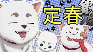 彩虹雨 | GINTAMA《银魂人物志-16》银魂的吉祥物，万事屋的大白狗，宇宙巨型天然呆犬 - 定春