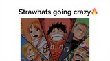 song strawhats going crazy