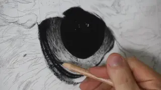 [Drawing]Lifelike owl