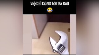 Nhà này việc gì cũng tới tay kao hết trơn là sao😅foryou cat thucung yeudongvat fyp pet dongvathaihuoc thucungvuinhon