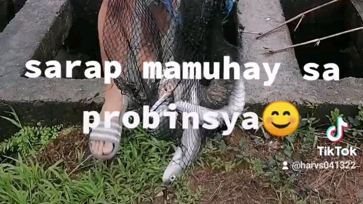 buhay probinsya