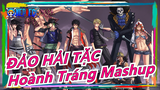 [ĐẢO HẢI TẶC] Hoành Tráng Mashup của 3 phim dài