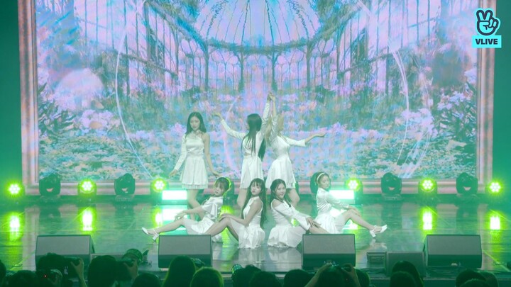 190508 OH MY GIRL - The fifth season(SSFWL) @'THE FIFTH SEASON' SHOWCASE