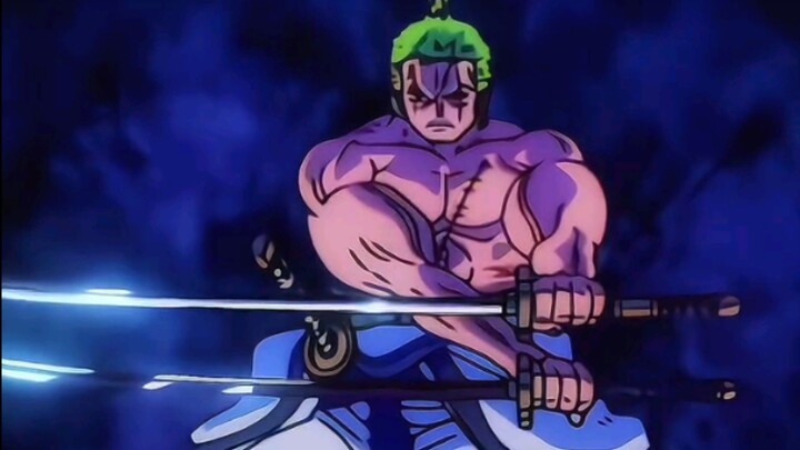 zoro fighting