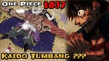 ONE PIECE 1037 - KAIDO TUMBANG ??? | BUAH IBLIS PALING BERBAHAYA‼️| OP 1037