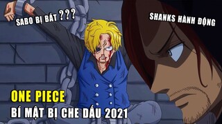 Bí ẩn đang được che dấu trong One Piece : Hành động của Shanks Râu Đen , Số phận Sabo Vivi sau Wano