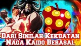 Mengungkap Apakah Kaido Naga Asli atau Pemakan Buah Iblis Zoan Naga (Teori One Piece)