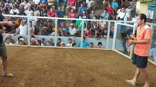 Boston sweater unscratched win at panarayon cockpit