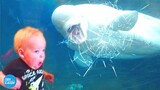 Funny Baby And New Friends At The Aquarium | TRY NOT TO LAUGH