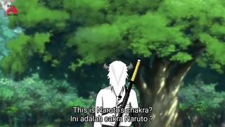 Otsutsuki yang merasakan Naruto Vs Otsutsuki Tulashiki | Boruto two blue vortex Part 1233