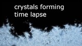 crystals forming time lapse microscopic set to chilled music. time lapse #2
