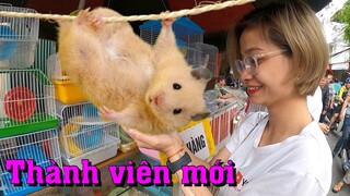 Bích Phương cùng Săn Bắt Ẩm Thực Vùng Cao chào đón Thành Viên Mới Chuột Hamster