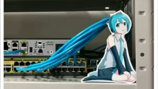 Lihat, Hatsune Miku~