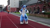 【Fursuit Dance】【BDF2019 Trial Dance】สัมผัสท้องฟ้าโดย Pico