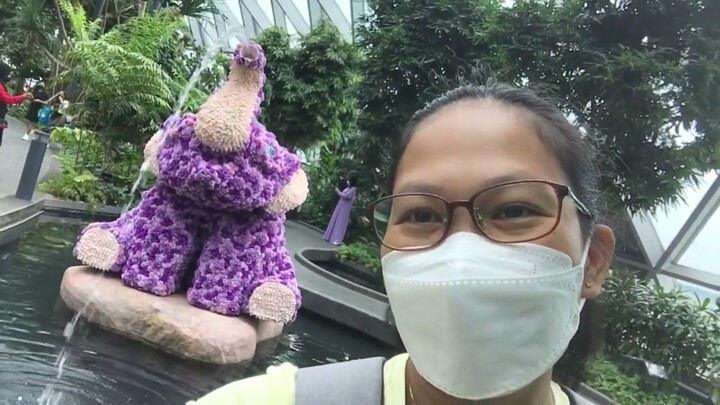 JEWEL CHANGI AIRPORT SINGAPORE /  CANOPY AND THE WALKING NET