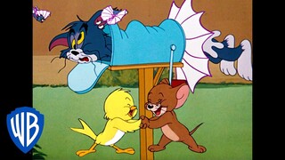 Tom & Jerry |  B-b-b-birds! | Classic Cartoon Compilation | WB Kids