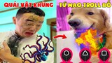 Thú Cưng Vlog | Tứ Mao Ham Ăn Đại Náo Bố #29 | Chó gâu đần thông minh vui nhộn | Smart dog cute pets