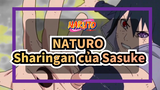 NATURO| Sharingan của Sasuke đến từ đâu？