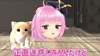 【Cooked Meat】A few words about the Vtuber I hate 【Exposure】