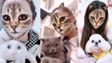 Dogs and Cats Reaction to Cat Filter - Funny Animal Reaction