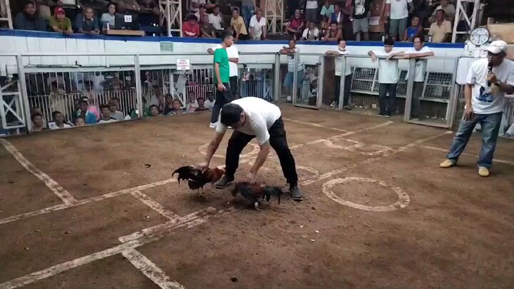 #burias