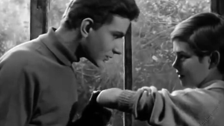 Film sesama jenis tahun 1964~Dua pria cantik jatuh cinta seperti ini~
