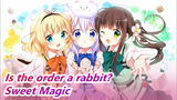 Is the order a rabbit?| Sweet Magic with Chino and Sharo