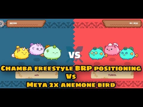 BRP gameplay VS Meta Double Anemone + Bird
