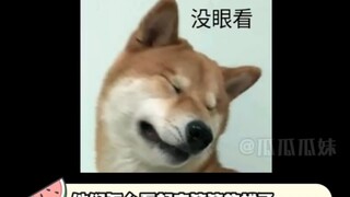 女生：要不我来扶？#张彬彬 #虞书欣 #何洛洛  范丞丞搜  程潇