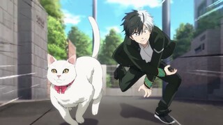 Haruka Sakura chasing a cat like ninja