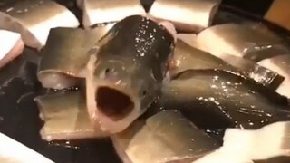 [Động vật] Đầu cá trên bàn tự nhiên động đậy! Dọa người ăn té đái!