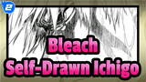 [Bleach] Self-Drawn Ichigo_2