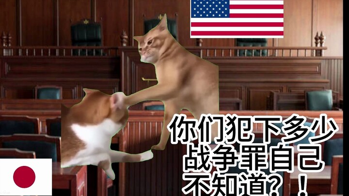 【猫meme】日本731登上国外热搜榜，美国网友反应惊人