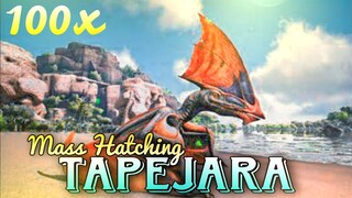 Mass Hatching Tapejara Eggs | 100 Eggs | Will We Get Mutations? | Ark Survival Evolved Mobile