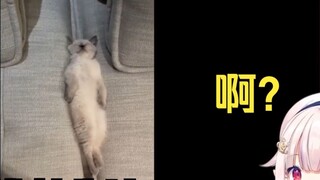 Loli Nhật Bản đang xem "Ai dạy bạn ngủ như thế?" 》Trực tiếp khó kéo dài