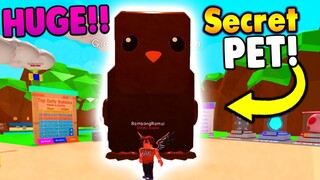 🥚The NEW Secret Pet Giant Choco Chicken in Roblox Bubble Gum Simulator