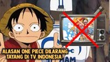Jadi ini alasan One Piece gak tayang di tv indo!!