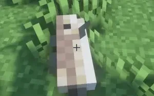 ข้างเตามีหมูกระทะ แต่ข้างๆ เธอล่ะจ้ะ มีใครหรือยัง minecraft