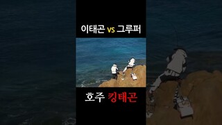 이태곤 VS 그루퍼~ 호주에서 이태곤이 킹태곤 되던 날!