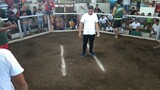 2 Cock Ulutan sa Guinobatan Sport Arena, 1 win, 1 loss tayo Mga boss, Silat pa Champion
