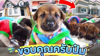 จุดเริ่มต้นใหม่ของลูกหมาจร! จากวันแรกที่หลบฝนหลบหนาวจนได้บ้านที่อบอุ่น (โชคดีนะลูกๆ)