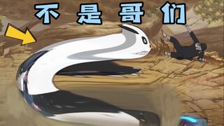 不是哥们