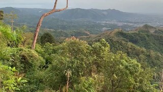 treesome view @mt. balagbag jan21.2024